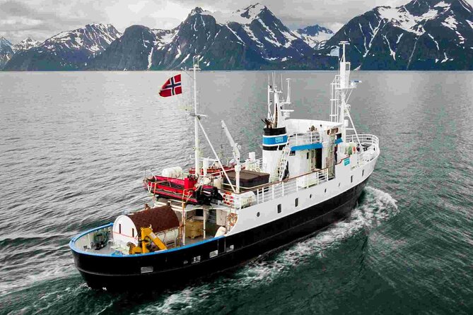 Northern Light cruise on the vintage vessel MS Strønstad - The 8 pm sauna and jacuzzi: the warmest way to wait
