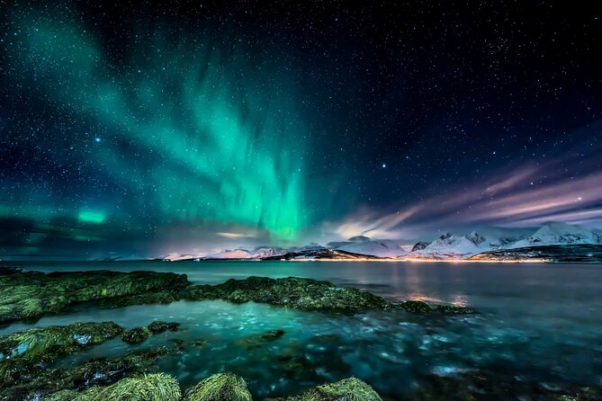 Northern light hunt in Tromsø. WiFi included - Key highlights you’ll feel right away