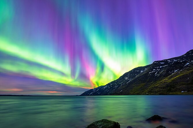 Northern light hunt in Tromsø. WiFi included - Viewing strategy: frequent stops that improve your odds
