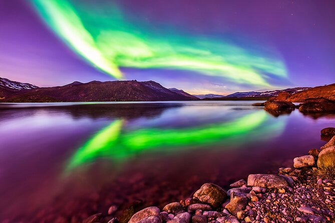 Northern light hunt in Tromsø. WiFi included - Photo help that doesn’t pretend to be professional