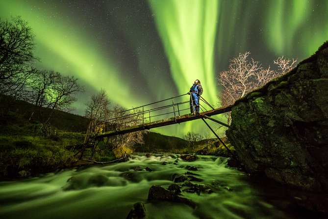 Northern Lights Adventure with Greenlander, 8 people max - Tromsø after dark: small group, big focus