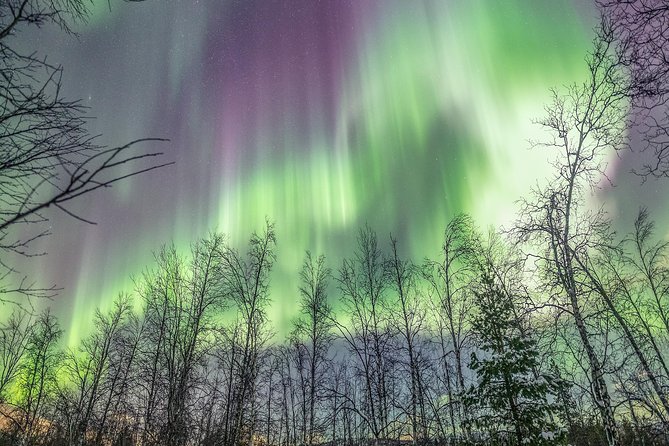 Northern Lights Adventure with Greenlander, 8 people max - Your guide doubles as your night photographer