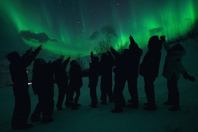 Northern Lights Big Bus Chase with Chasing Lights - How pickup and meeting points actually play out