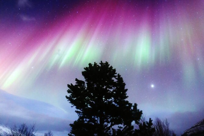 Northern Lights Big Bus Chase with Free Photos - Key highlights worth planning around