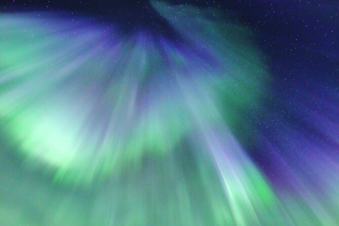Northern Lights Big Bus Chase with Free Photos - On Board During the Chase: WiFi, Restroom, and Warm Drinks