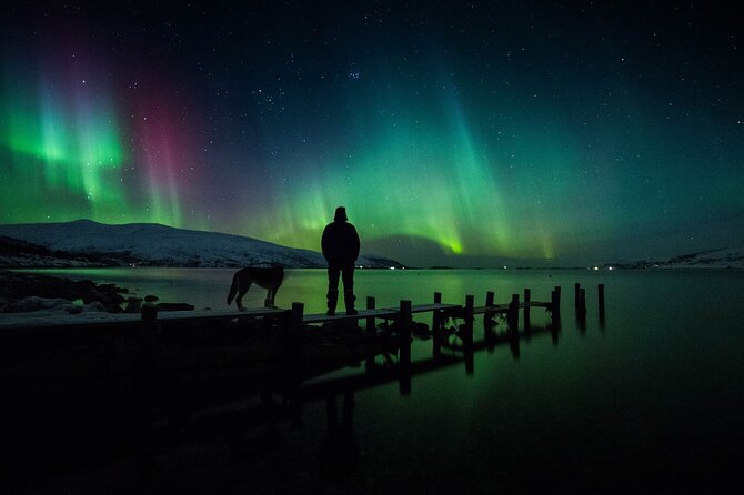Northern Lights Big Bus Chase with Free Photos - Who This Tour Fits Best (And Who Might Want a Different Plan)