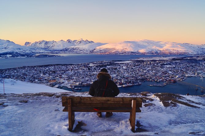 Northern lights cable car excursion - The cold, the wind, and the one skill you really need: patience