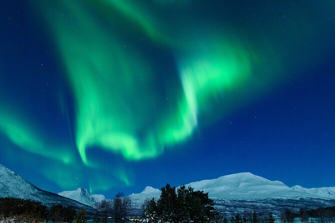 Northern Lights Chase by Bus in Tromso - Tromsø at 6:00 pm: the timing that drives the night