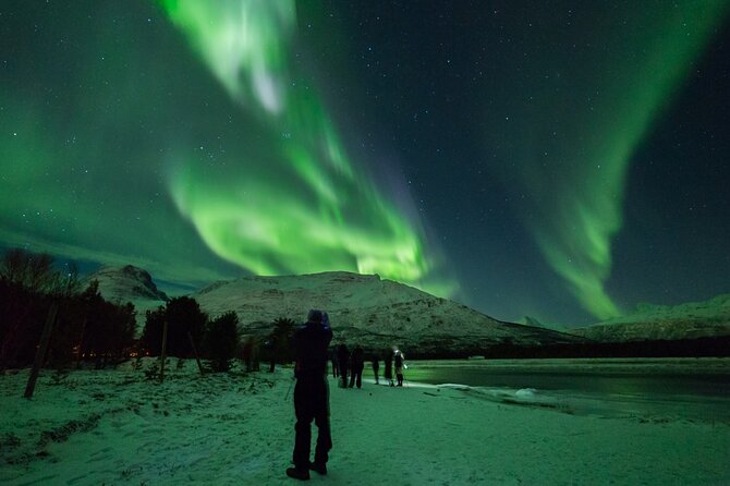 Northern Lights Chase by Bus in Tromso - The bus chase: how guides choose the best sky spot