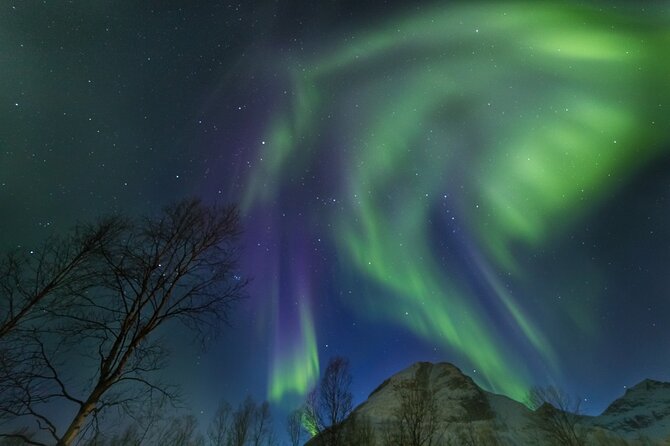 Northern Lights Chase by Bus in Tromso - Coffee, group size, and the reality of standing around