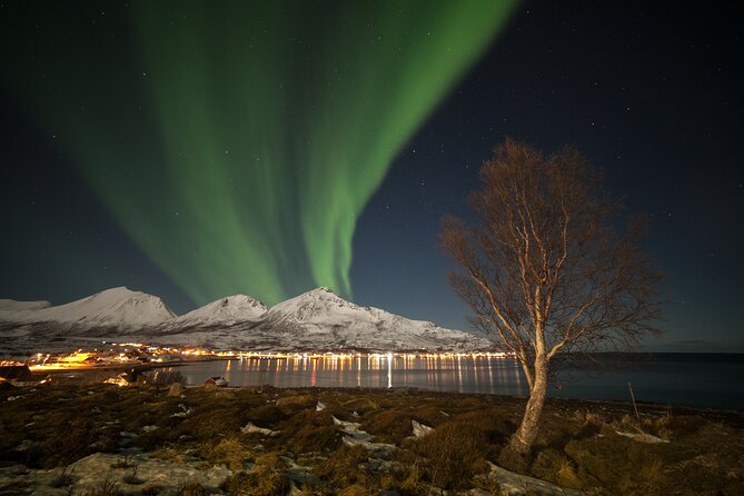 Northern Lights Chase by Bus in Tromso - Norwegian Travel: what to expect from the operator style