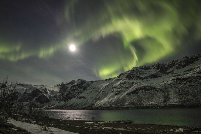 Northern Lights Chase with Photography from Tromsø - Warm breaks and the small comforts that keep you sane