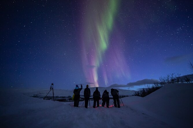 Northern Lights Expedition Tromsø - 6 people - Arctic Photo Guide - Price and value: what $296.92 buys you in Tromsø