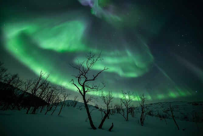 Northern Lights Expedition Tromsø - 6 people - Arctic Photo Guide - The meeting point and how the evening starts