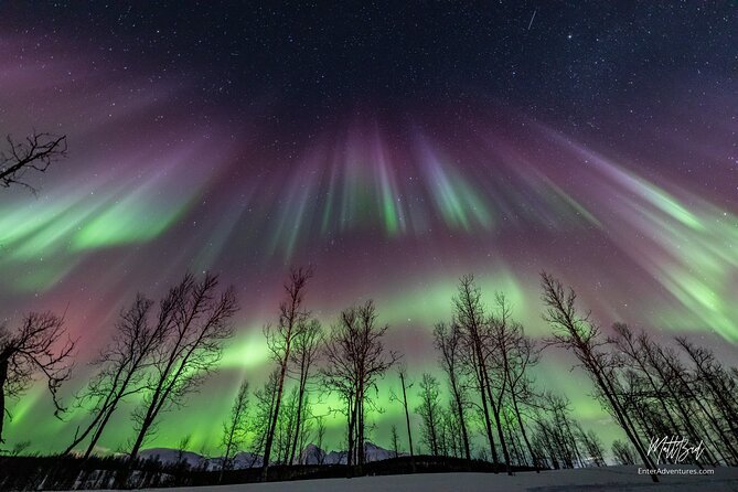 Northern Lights Guided Bus Tour with Free Photos - The bus ride out: why transportation is part of the magic