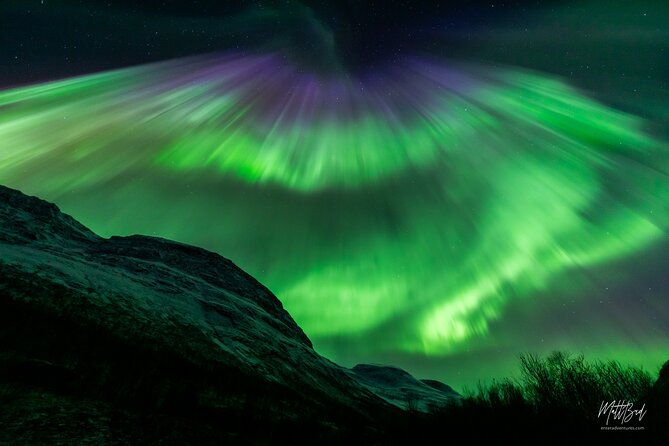 Northern Lights Guided Bus Tour with Free Photos - Timing, group size, and staying in sync