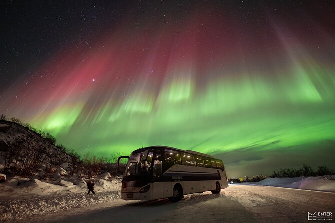 Northern Lights Guided Bus Tour with Free Photos - Aurora forecasting and where you’ll actually look