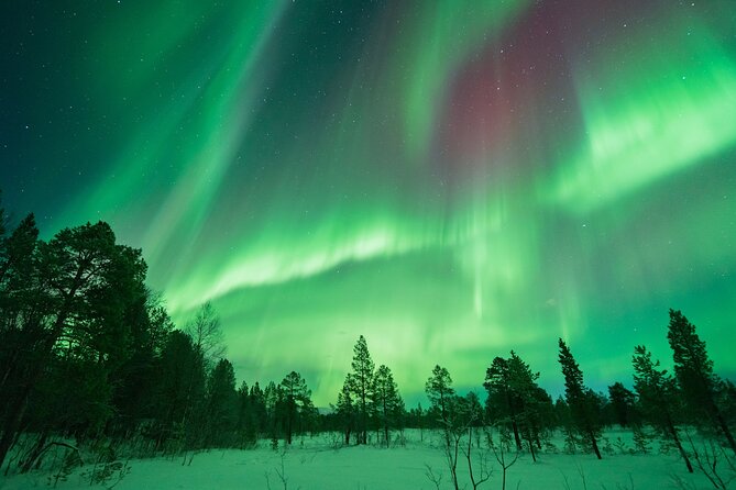 Northern Lights Hunt with The Green Adventure - photos included - Tromsø Aurora Hunt: Why the Driving Plan Boosts Your Odds