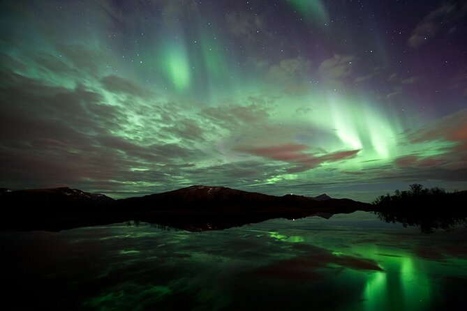 Northern Lights Husky Visit - Watching the sky after dinner: photos, timing, and reality checks