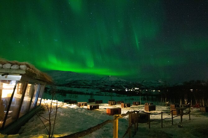 Northern Lights Husky Visit - Price and value: what you’re paying for in Tromsø