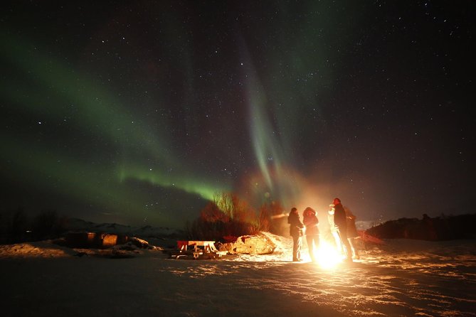 Northern lights photography tour - Group size and the calm advantage of max 15