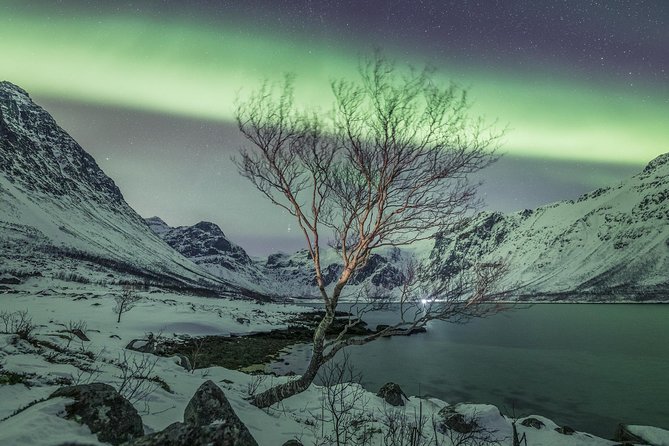 Northern Lights Private tour with your special ones - Greenlander - 5 to 10 Hours of Chasing the Best Skies