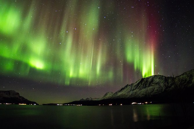 Northern Lights Safari from Tromso - Key things to know before you go