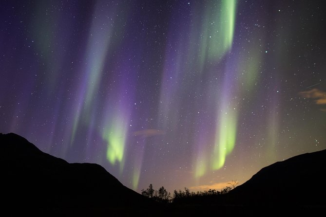 Northern Lights Safari from Tromso - Warmth, snacks, and the small comforts that keep you sane