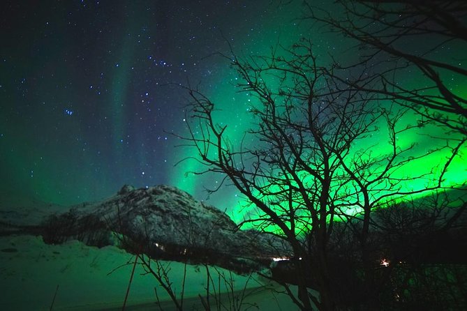 Northern lights - TeslaX Ecofriendly Car - The Comfort Upgrades: Warm Drinks, Snacks, and Photo Sharing