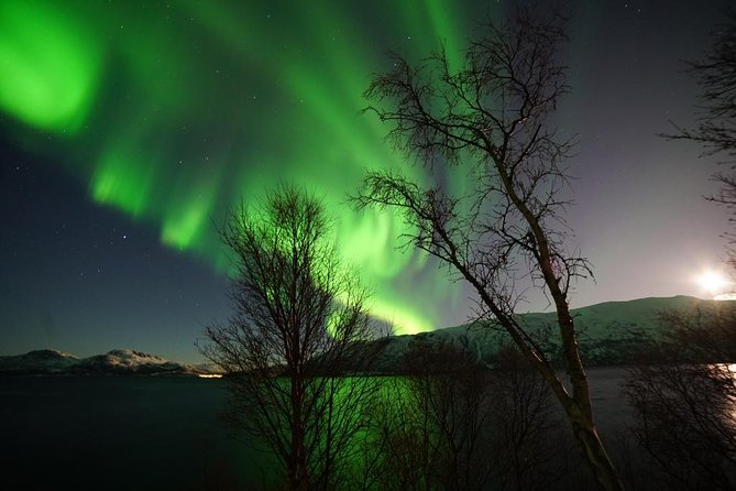 Northern lights - TeslaX Ecofriendly Car - Price in Context: Is $192.75 Worth It for This Tromsø Night?
