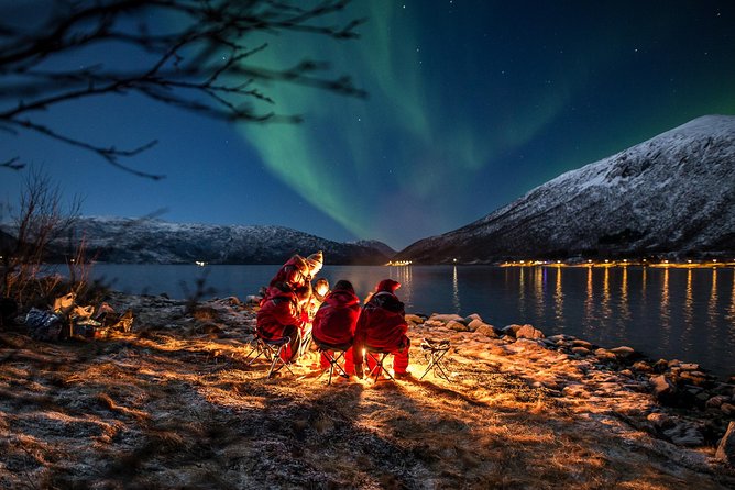 Northern Lights Tour from Tromsø - Tromsø pick-up at Magic Ice Bar: easy start, smoother night