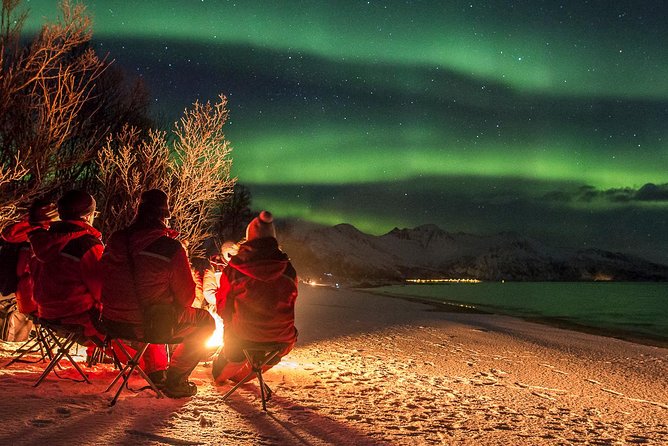 Northern Lights Tour from Tromsø - Campfire dinner: the best way to survive the wait