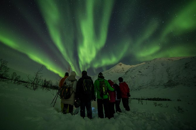 Northern Lights Tour from Tromsø - Price and value at about $259.11 per person
