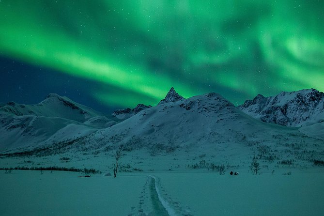 Northern Lights Tour from Tromsø - The northern lights chase: how you’re guided to better sky