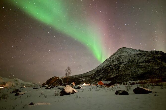 Northern Lights Tour with Hot Food and Drinks in Tromso - Northern Lights outside Tromsø: what the “hunting tour” really means