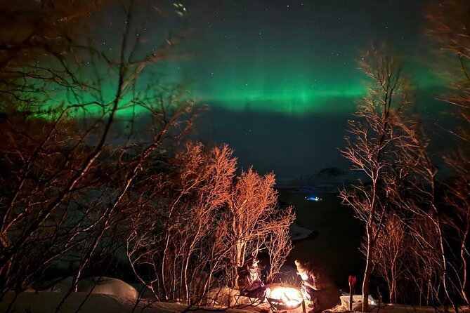 Northern Lights Tour with Hot Food and Drinks in Tromso - Stop 1: Tromsø and the first aurora checks