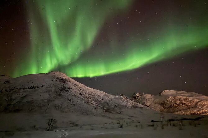 Northern Lights Tour with Hot Food and Drinks in Tromso - Value in dollars: price, included comfort, and the second-tour option