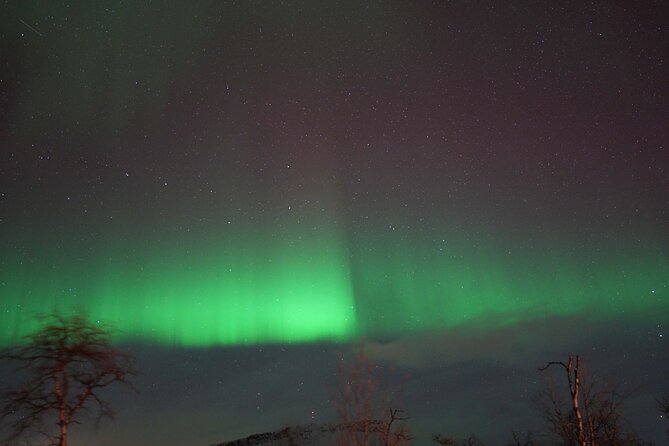 Northern Lights Tour with Local Guide and Photos - Price and value: is $198.50 per person fair for Tromsø aurora chasing?