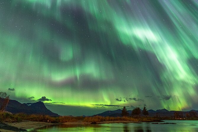 Northern Lights Tour with Local Guide and Photos - Weather rules, safety sense, and the truth about refunds