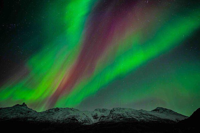 Northern Lights Tour with small group of 8 people - Key Highlights Worth Planning For
