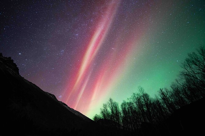 Northern Lights Tour with small group of 8 people - Tromsø Night Drive: The Whole Point Is Chasing Clear Sky