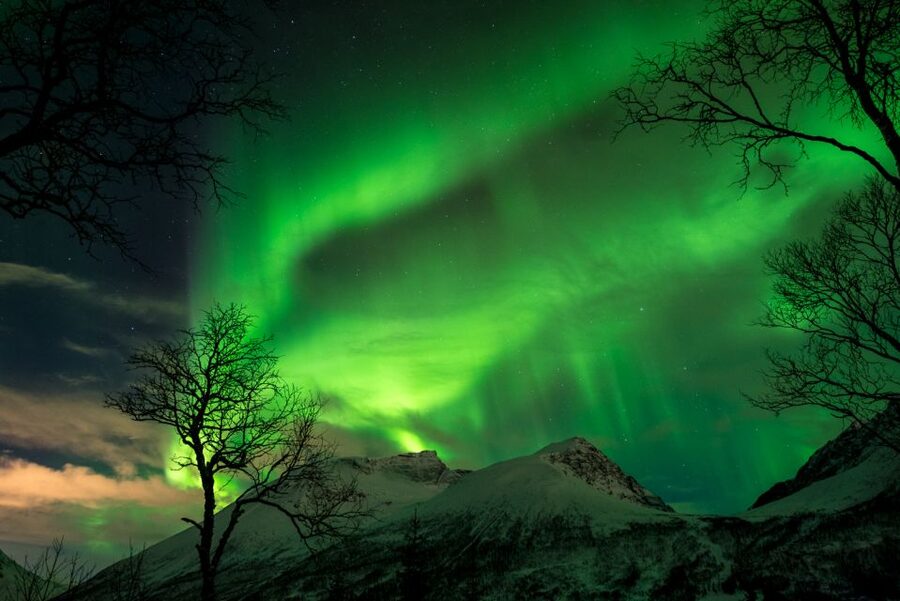 Northern lights Tromsø - small group tour with local guide - Secret stops and warm breaks: what you do while waiting
