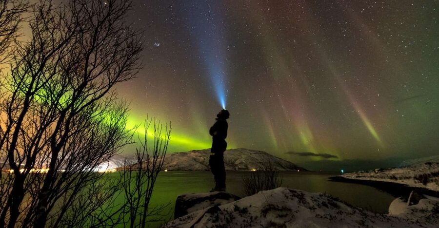 Northern lights Tromsø - small group tour with local guide - Price and value: is $271 per person fair?