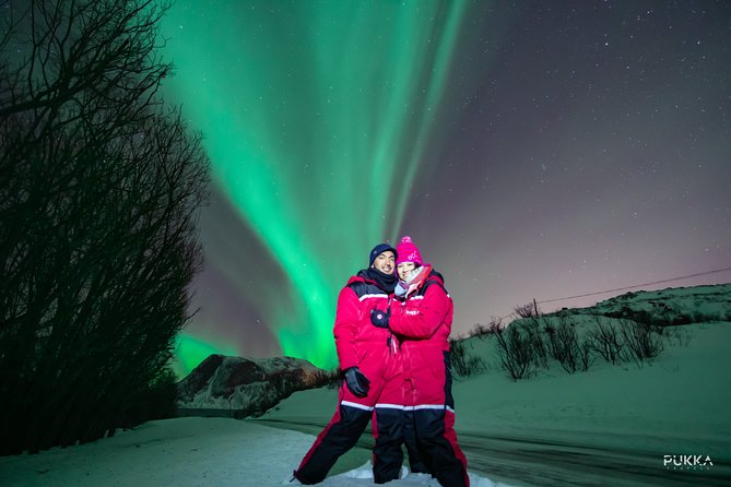 Northern Lights x Mini Bus Chase - Key highlights worth planning around