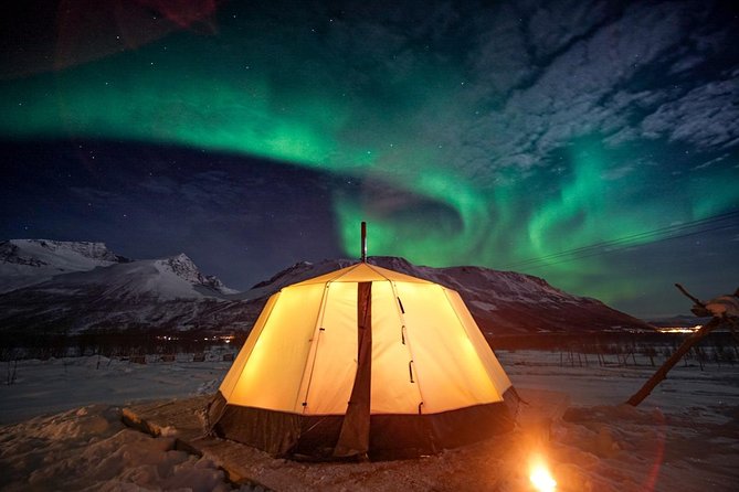 Overnight Stay with Reindeer Sledding & Feeding - Key things that make this tour worth your attention