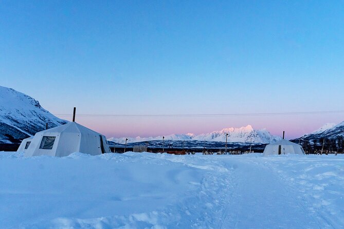 Overnight Stay with Reindeer Sledding & Feeding - Tromsø Lapland at 6 pm: the drive that sets the mood