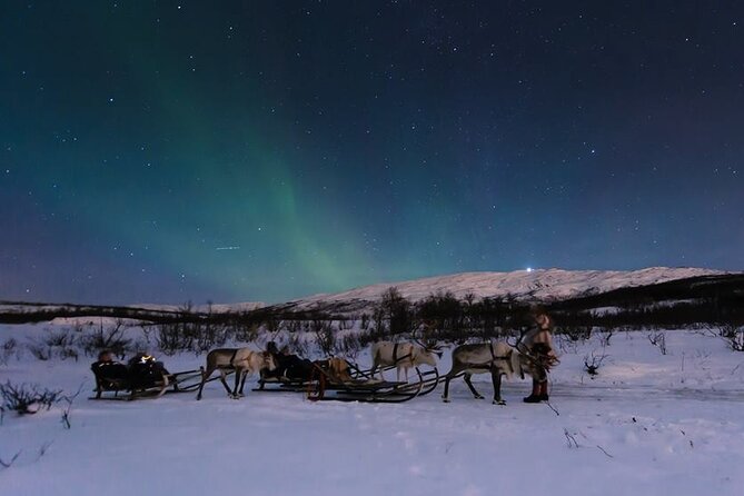 Overnight Stay with Reindeer Sledding & Feeding - Sami dinner in a lavvu: stew, stories, and real camp warmth
