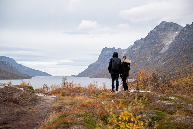 Private Arctic Fjord Roadtrip with Scenic Picnic from Tromso - Key things that make this Tromsø fjord road trip worth it