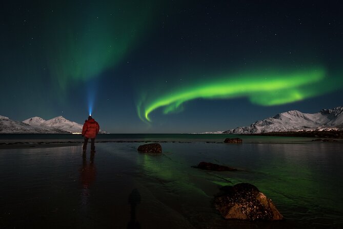 Private & Exclusive Northern Lights Tour with Professional guide - Key highlights I’d focus on