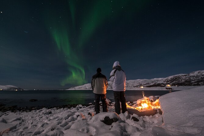Private & Exclusive Northern Lights Tour with Professional guide - How Tromsø turns the odds in your favor at 7:00 pm